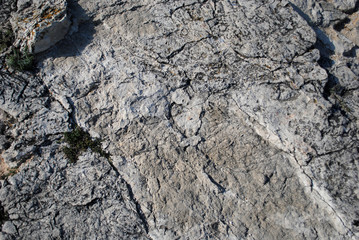 texture plane of gray limestone stone