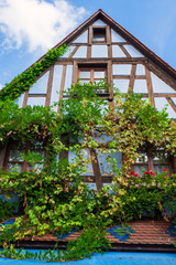 Typisches, mit Blumen dekoriertes Fachwerkhaus im Elsass/Frankreich