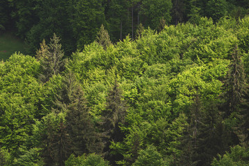 Beautiful summer green hills in Transylvania. Sunrise landscape in the Romanian mountain village