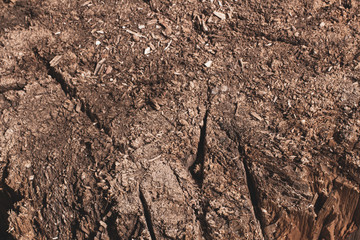 texture of dry soil