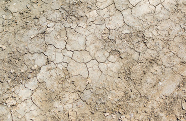 Terre craquelée