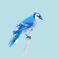 Fototapeta premium The Bird of Happiness