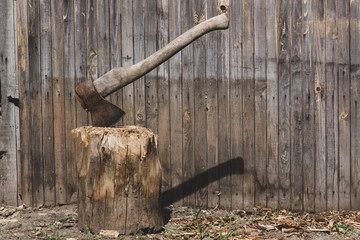 axe in log