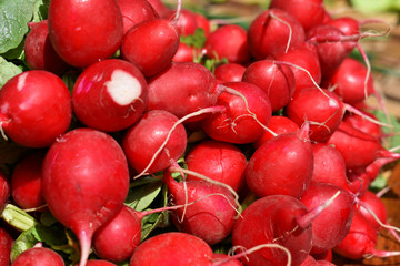 Pile of fresh red radish at the market   