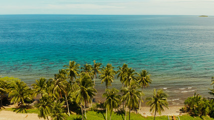 Fototapeta na wymiar Landscape with coconut trees and turquoise lagoon, view from above. Seascape with palm trees and a pebbly beach, Philippines, Camiguin,aerial view.
