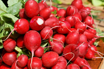 Pile of fresh red radish at the market   