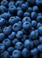 A tasty and healthy snack: juicy and sweet blueberries.
