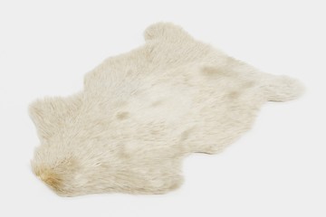 Realistic 3d Render of Sheep Skin