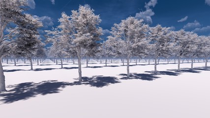 White Trees