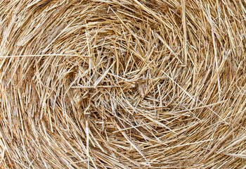 Wheat Haystacks after the harvest