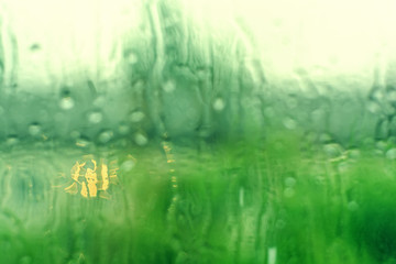 Fototapeta na wymiar Blurred rain drops on a window background. Nature green bokeh.