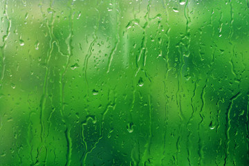 Rain drops on window with green tree as background. Natural water drops on glass. Selective focus