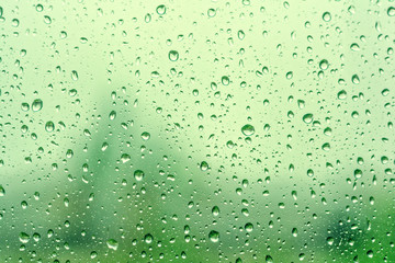 Rain drops on window with green tree as background. Natural water drops on glass. Selective focus