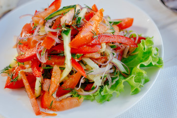 Vegetable salad on the white plate. Achik Chukchuk salad with tomatoes and onion.
