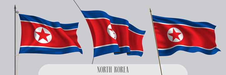 Set of North Korean waving flag on isolated background vector illustration