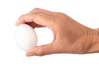 Fototapeta na wymiar White chicken, hen egg held between hand, fingers isolated on white background.