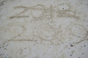 New Year 2019 replace 2018 on the sea beach and Traveling concept