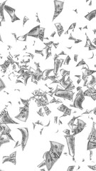 Flying dollars banknotes isolated on white background. Money is flying in the air. 100 US banknotes new sample. Black and white style. 3D illustration