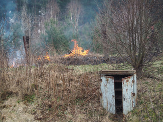 Illegal burning of dry grass in spring