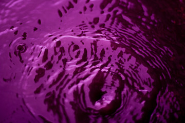 closeup of cabbage on black background