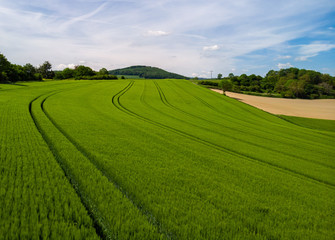 Fototapeta premium Getreidefeld in der Vulkaneifel