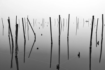 Wood Poles in Water with Fisherman on Boat - Black and White