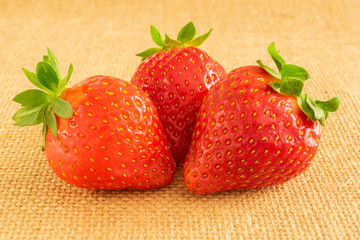 Strawberries on textile background