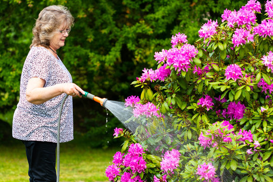 Frau bew&auml;ssert Blumen und Pflanzen im Garten