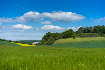 Landwirtschaft in der Vulkaneifel