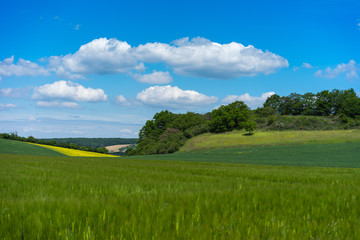 Landwirtschaft in der Vulkaneifel