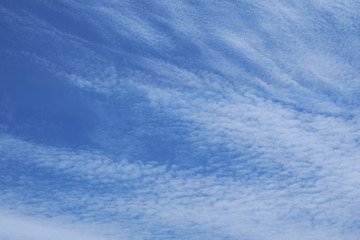 Fototapeta premium 青空