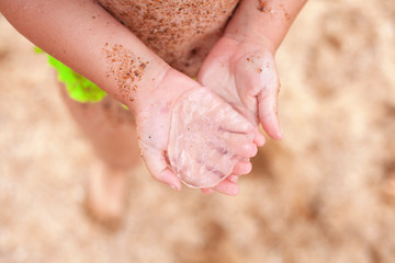 young girl found a jellyfish on the beach