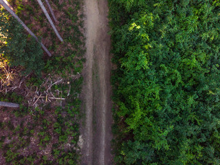 Ein Waldweg aus der Luft
