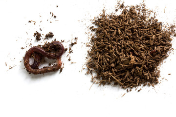 African Night Crawler, earthworms and Fertile soil isolated on white background.