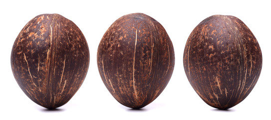 coconut set isolated on white background