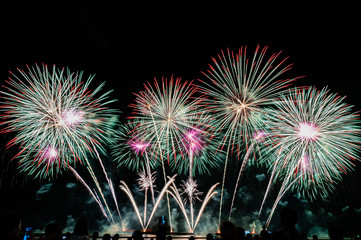 Beautiful Fireworks on the sky background.