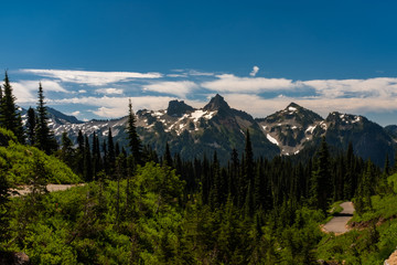 A snow capped mountain range in Washington State at spring time with a forest of lush green pine trees in the foreground hiking trails on both sides of the image, against a bright blue sky