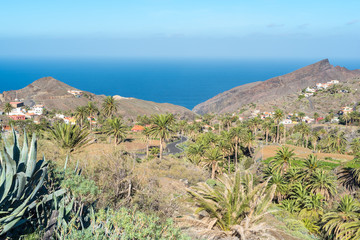 Alojera is a scattered settlement and district of the municipality Vallehermoso in the west of the Canary Island La Gomera. The village is a centre of palm honey production on the island