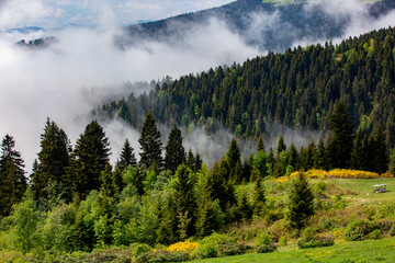 Mountain, Highland and the Land of the clouds Black Sea