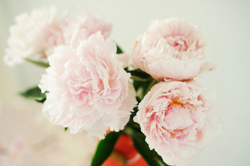 Bouquet of pink peony