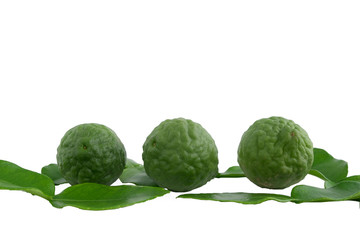 green cabbage isolated on white background