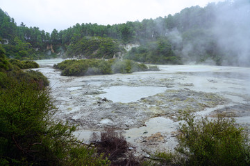 Naklejka na ściany i meble Geothermal craters in the forest in the Waiotapu area of the Taupo Volcanic Zone in New Zealand