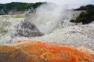 Geothermal craters in the forest in the Waiotapu area of the Taupo Volcanic Zone in New Zealand