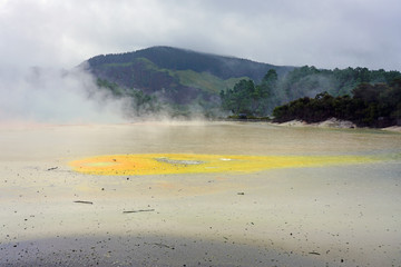 Geothermal craters in the forest in the Waiotapu area of the Taupo Volcanic Zone in New Zealand