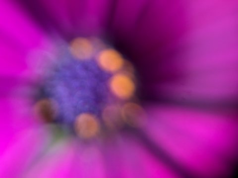 オステオデュオ フォスのリーフレット