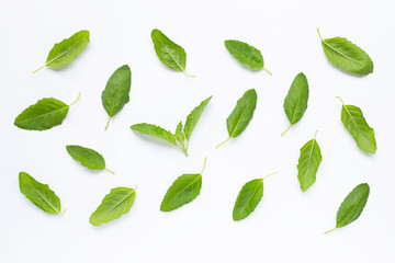 Holy basil  leaves on white
