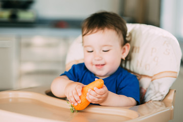 Little girl child in a high chair eating a carrot in the afternoon in the kitchen