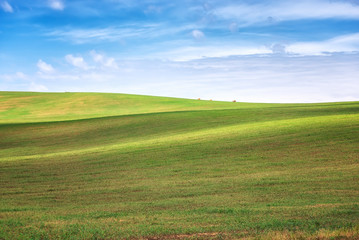 Earth waves background in South Moravia / Amazing landscape with green wheat field and rolling hills in South Moravia, Czech Republic