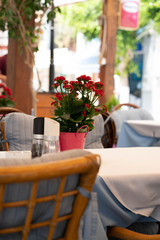cafe place, table settings with red flower pot, salt and pepper on the table, wooden chair