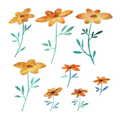 Watercolor floral set